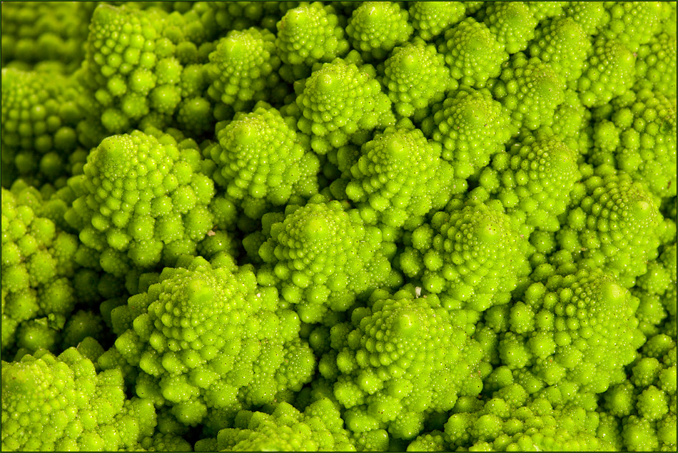 kompetenzzentrum2030.at